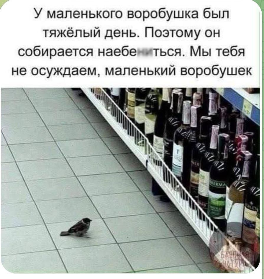 У маленького воробушка был тяжёлый день. Поэтому он собирается наебениться. Мы тебя не осуждаем, маленький воробушек.