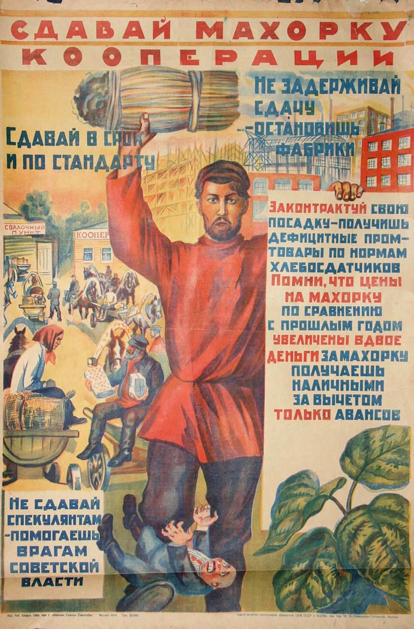 Сдавай махорку кооперации
Не задерживай сдачу, остановившись в заготовке
Сдавай в срок и по стандарту
Законтактируй свою посадку - получишь определенные промтовары по нормам хлебозаготовок. Помни, что цены на махорку по сравнению с прошлым годом увеличились вдове. Деньги за махорку получаешь наличными, только авансом
Не сдавай спекулянтам - помогай врагам советской власти