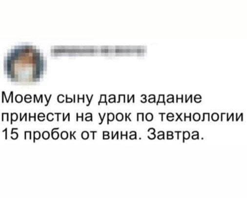 Моему сыну дали задание принести на урок по технологии 15 пробок от вина. Завтра.