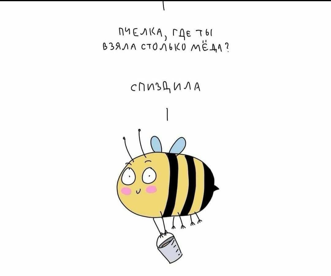ПЧЕЛИКА, ГДЕ ТЫ ВЗЯЛА СТОЛЬКО МЁДА?
СПИЗДИЛА