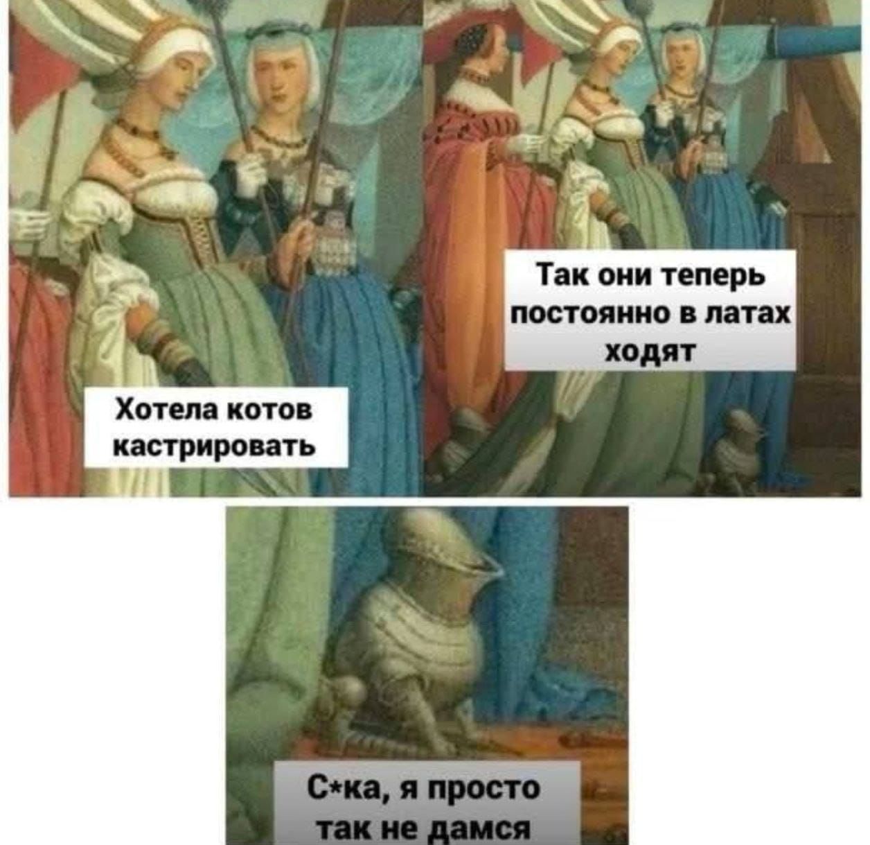 Хотела котов кастрировать
Так они теперь постоянно в латах ходят
С*ка, я просто так не дамся
