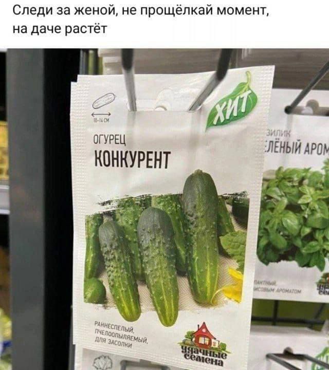 Следи за женой, не прощёлкай момент, на даче растёт.