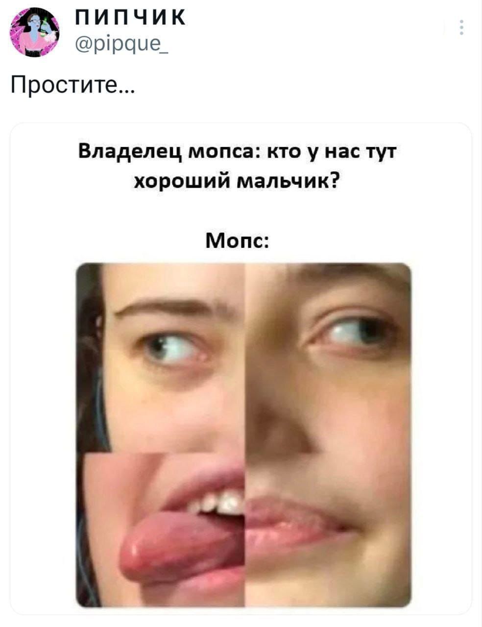 Простите...

Владелец мопса: кто у нас тут хороший мальчик?

Мопс: