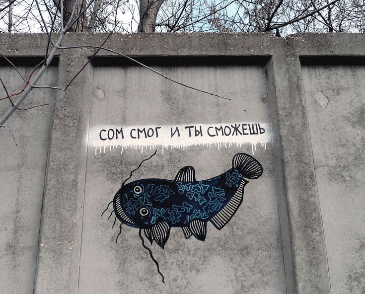 СОМ СМОГ И ТЫ СМОЖЕШЬ