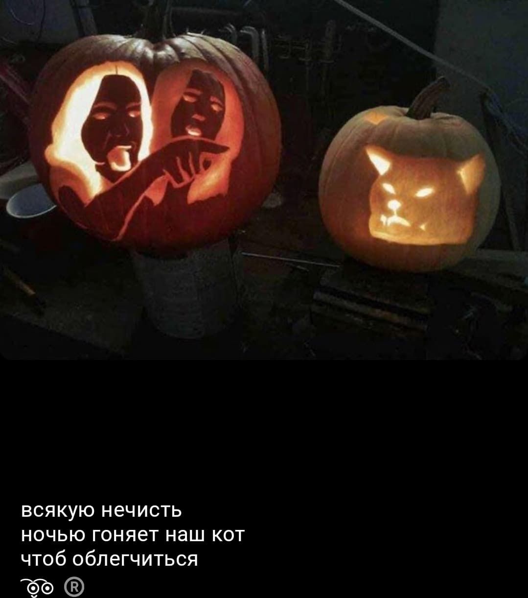 всякую нечисть ночью гоняет наш кот чтобы облегчиться