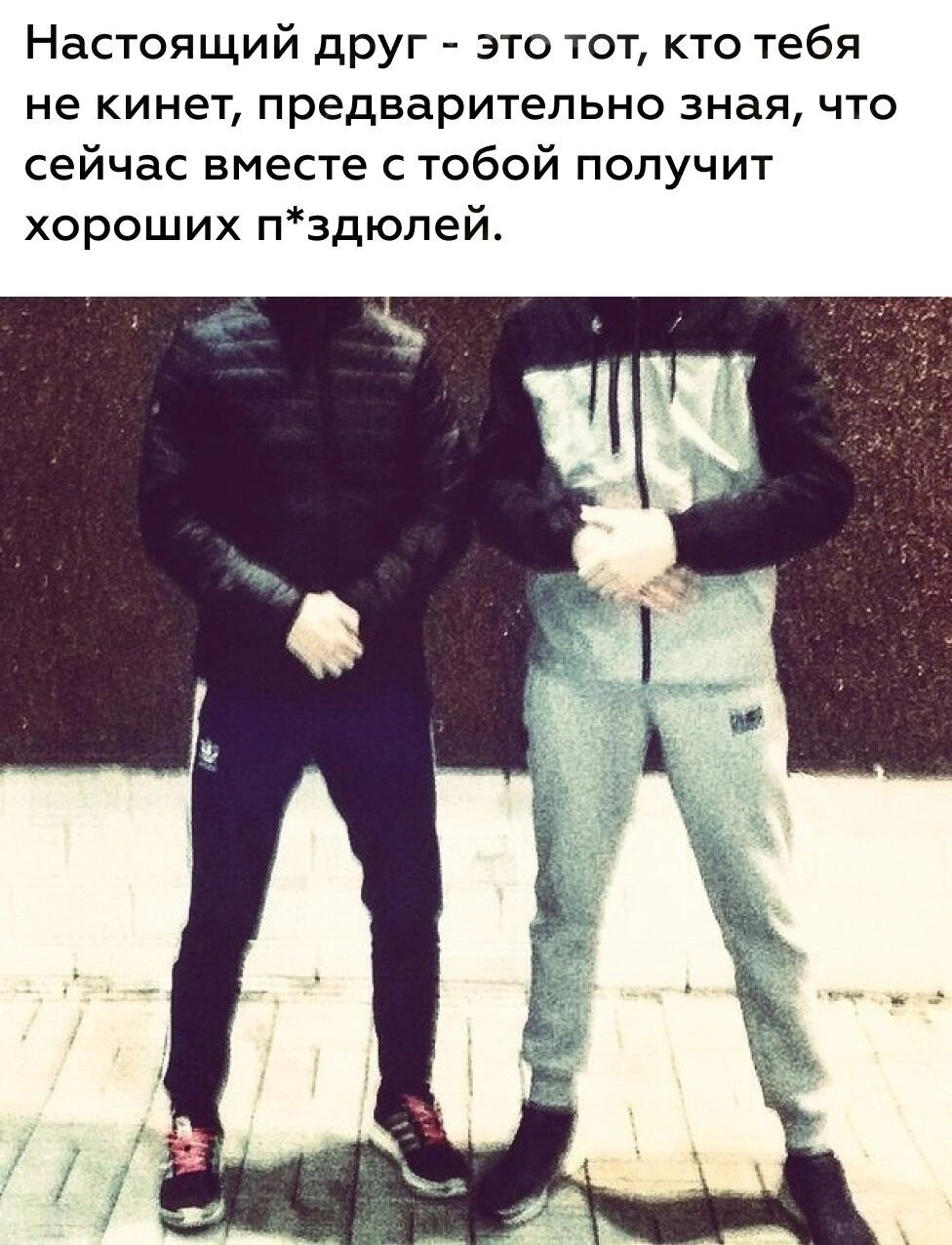 Настоящий друг это тот кто тебя не кинет предварительно зная что сейчас вместе с тобой получит хороших пздюлей