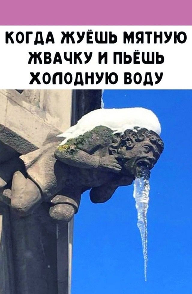 КОГДА ЖУЁШЬ МЯТНУЮ ЖВАЧКУ И ПЬЁШЬ ХОПОДНУЮ ВОдУ 1