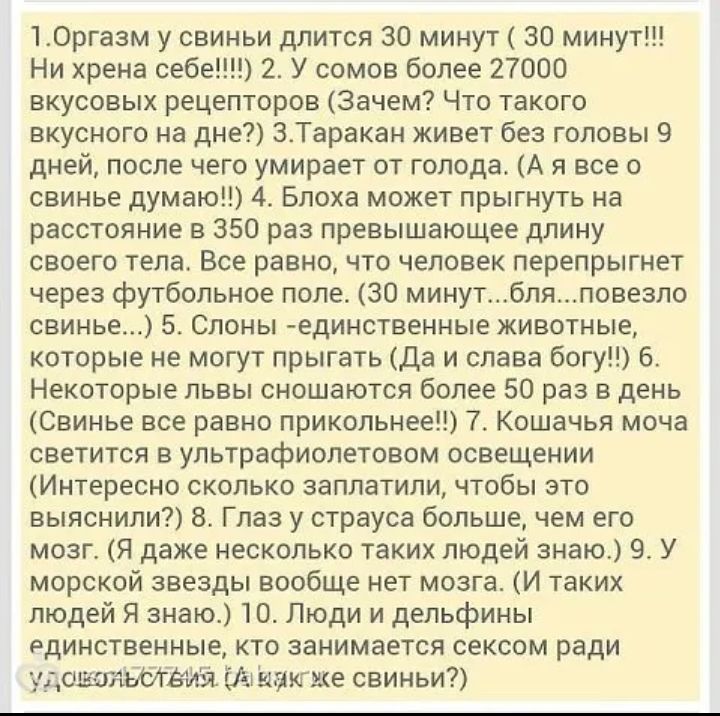 10ргазм у свиньи длится 30 минут 30 минут Ни хрена себе 2 У сомов более 27000 вкусовых рецепторов Зачем Что такого вкусного на дне ВТаракан живет без головы 9 дней после чего умирает от голода А я все о свинье думаю 4 Блоха может прыгнуть на расстояние в 350 раз превышающее длину своего тела Все равно что человек перелрыгиет через футбольное поле 30 мину ля повезло свинье 5 Слоны единственные живо