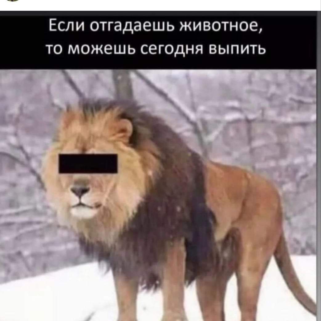 ЕСЛИ ОТГЭДЗЭШЬ ЖИВОТНОЕ ТО МОЖеШЬ сегодня ВЫПИТЬ