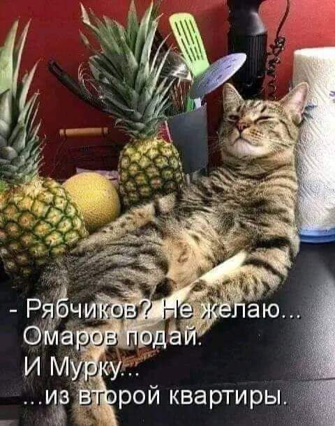 й рой квартиры