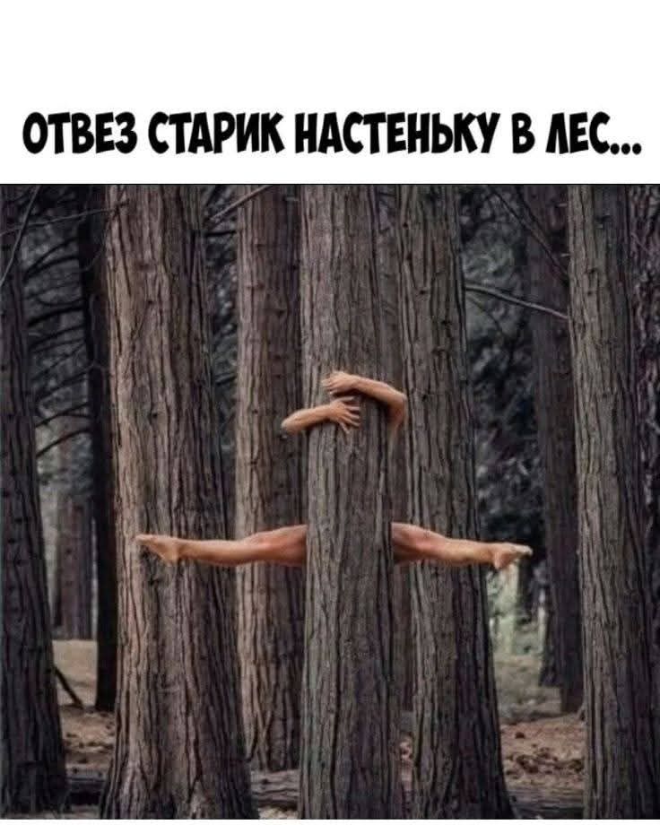 ОТВЕЗ СТАРИК НАСТЕНЬКУ В ЛЕС