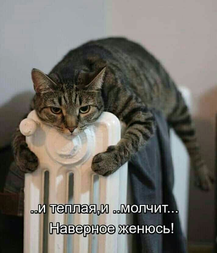 о