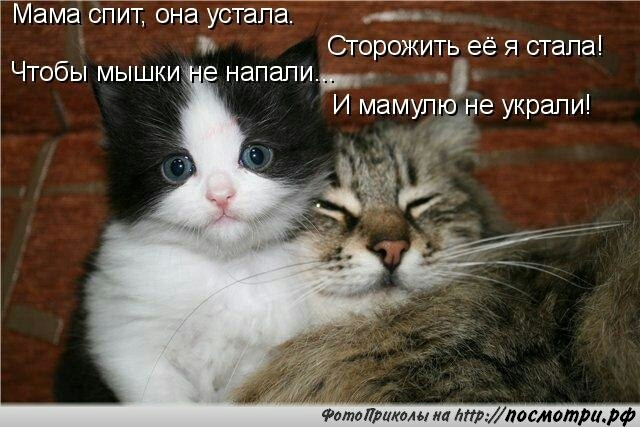 ЁМама сгТитйог іа устгігТа Сгорожить её я стала Чтобы мышкщ напапи_ И мамупю не украпи