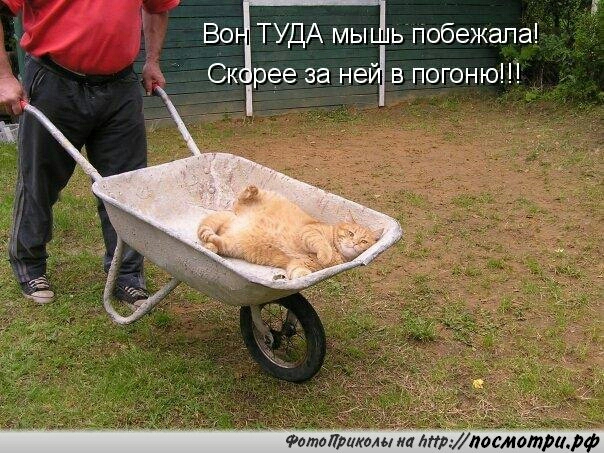 Вс ТУДА мы ь побежала Ск рее за ней в погоню Ш