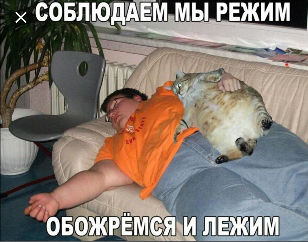 СОБПЩДАЕМ МЫ РЕЖИМ