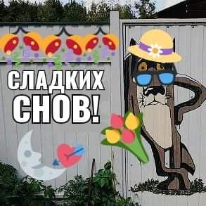 пк слддююх СНПВ