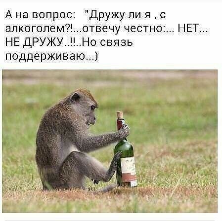 А на вопрос дружу ли я с алкоголемотвечу честно НЕТ НЕ дРУЖУ Но связь поддерживаю