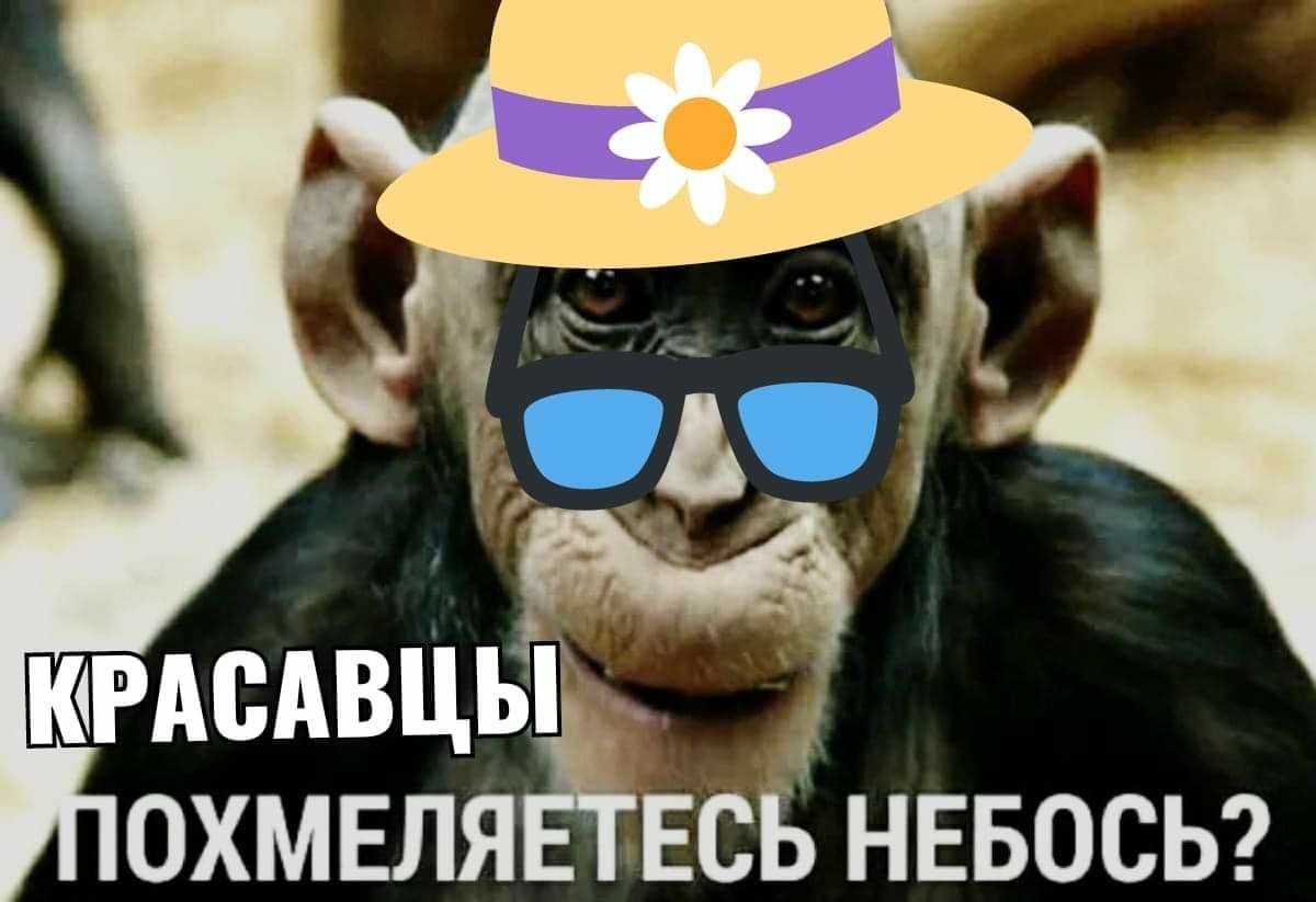 ОХМЕЛЯ ЕСБ НЕБОСЬ
