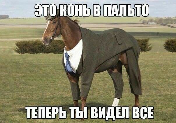 ТЕПЕРЬ ТЫ ЗИЛ 80