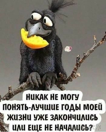 НИКАК НЕ МОГУ ПОНЯТЬ ЛУЧШИЕ ГОДЫ МОЕЙ ЖИЗНИ УЖЕ ЗАКОНЧИАИОЪ ИАИ ЕЩЕ НЕ НАЧМИОЪ
