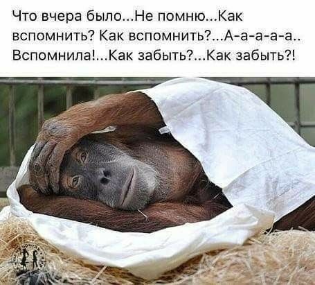 Что вчера бь1поНе помню Как вспомнить Как вспомнитьА ааа а ВспомнилаКак забытьКак забыть