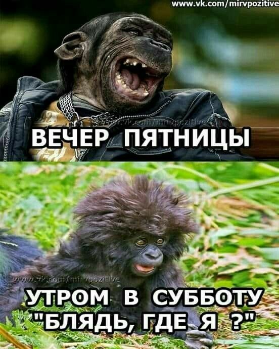 ММКвоттігчршгйче