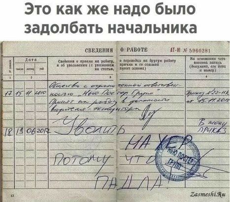Это как же надо было задолбать начальника сввцниил 0 тт шп ьлшы жшг мтм и
