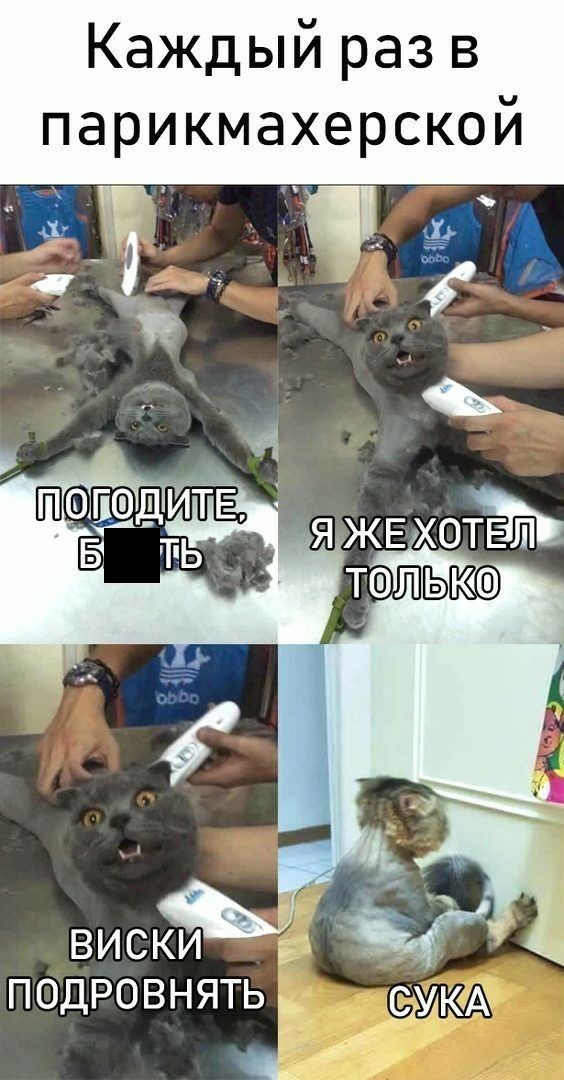 Каждый раз в парикмахерской