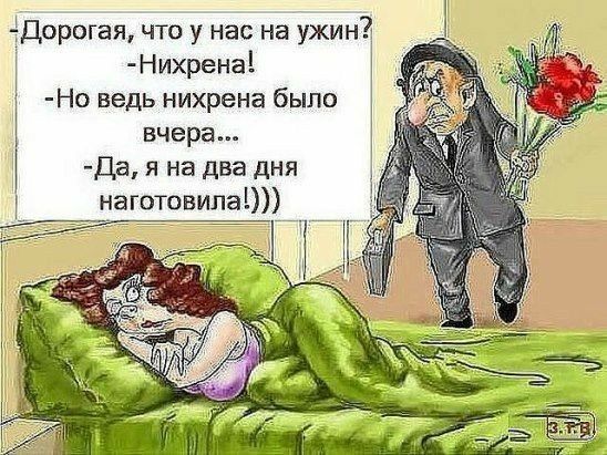 Дорогая что у нас на ужин і Нихрена Но ведь нихрена было А вчера Да я на два дня наготовила