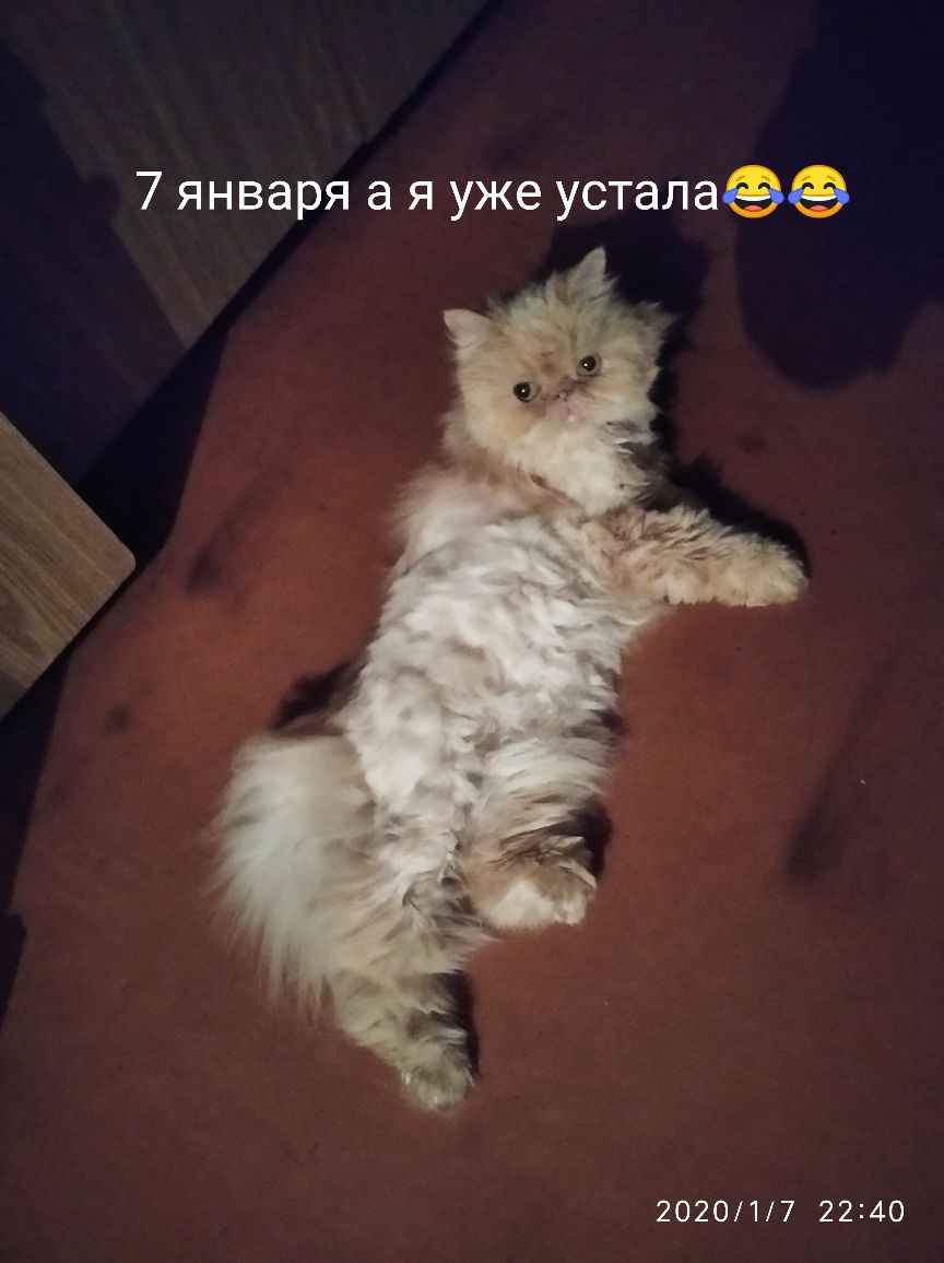 7 января а я уже усталаэе 202017 2240