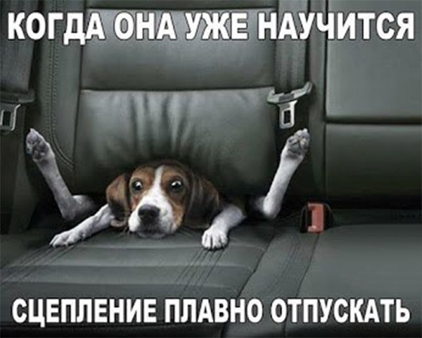 когдАТоішУАдуждч ЕЛНЁНится на СЦЕПЛЕНИЕ ПЛАВНО ОТПУСКАТЬ