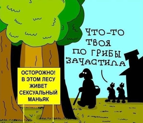 ЧТОТО ТВОЯ ПО ГРИБЫ ЗАЧАСТИАА ОСТОРОЖНО В ЭТОМ ЛЕСУ ЖИВЕТ СЕКСУАЛЬНЫИ МАНЬЯ К
