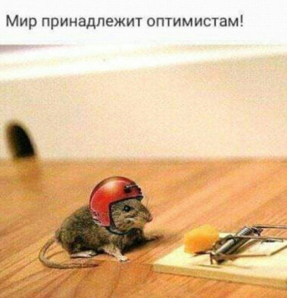 Мир принадлежит оптимистам 4