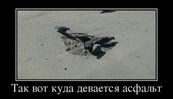 Так вот куда девается асфальт