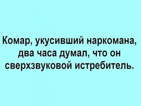 Комар укусивший наркомана два часа думал что он сверхзвуковой истребитель