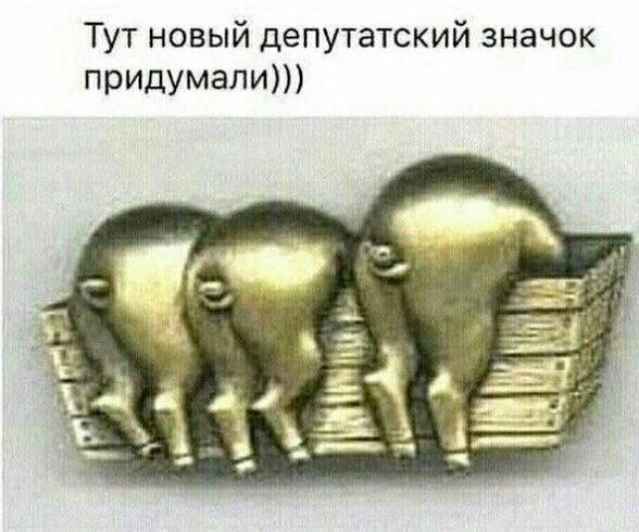Тут новый депутатский значок пришмели