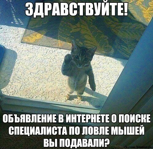 овъпвпвни В ИНТЕРНЕТЕ 0 ПВИСПЕ ВПЕПИШИВТА ВВПЕ МЫШЕЙ ВЫ поддвялиэ