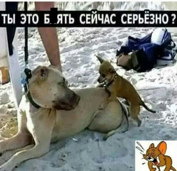 ТЫ ЭТО Б ЯТЬ свйчдс серьёзна