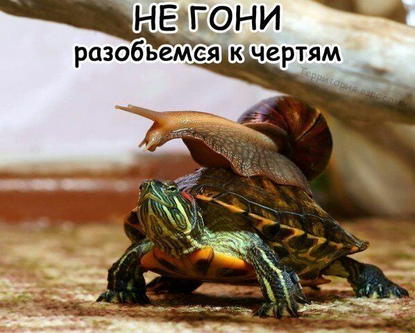 НЕОГвОНИ