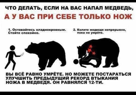 ЧТО дЕПАТЬ ЕСЛИ НА ВАС НАПАП МЕДВЕДЬ __ С РЩ ЮЩЦЦХ 1 осп пмс миллион нын км и и ивы сиг спокпйив по уирнь на Вы ВСЁ РАВНО УМРЁТЕ МОЖЕТЕ ПОСТАРАТЬСЯ УПУЧШИТЬ ПРЕПЫДУЩИИ РЕКОРД ВТЫКАИИЯ КОЖА В МЕДВЕДЯ ОМ РАВМЯЯСЯ 12 ти