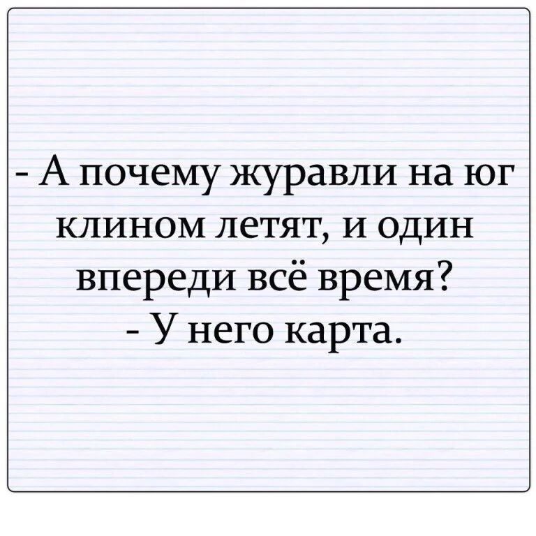 А почему журавли на юг клином летят и один впереди всё время У него карта