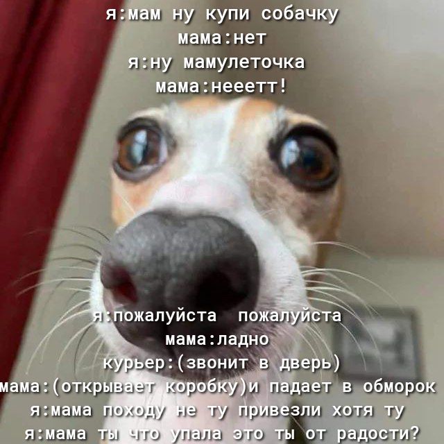 ши п 7 г пшш шт мы ры