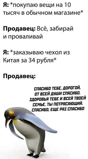 Я покупаю вещи на 10 тысяч в обычном магазине Продавец Всё забирай и проваливай Я заказываю чехол из Китая за 34 рубля Продавец СПЯСИБО ТЕБЕ ДОРОГОЙ Т ВСЕЙ ДУШИ СПАСИБП ЗДОРОВЬЯ ТЕБЕ И ВСЕЙ ТЕОЕЙ СЕМЬЕ ТЫ ПОТРЯСАЮЩИЙ СПАСИБП ЕЩЕ РЯЗ СПЯСИБО