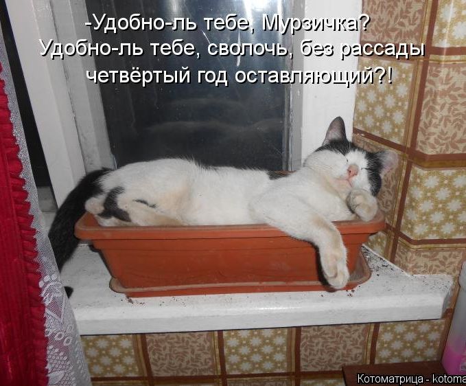 Удобноць о ль тебе _