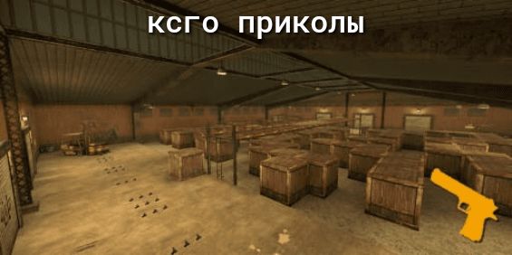 КОГО ПРИКОЛЫ