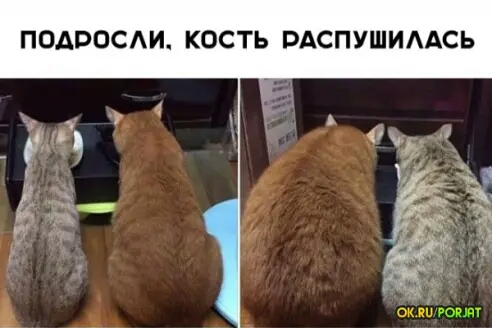 ПОАРОСАИ КОСТЬ РАСПУШИААСЬ