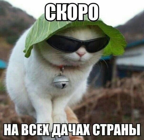 нд ВЕБЕК ддШШ ВТНШЫ ни 3
