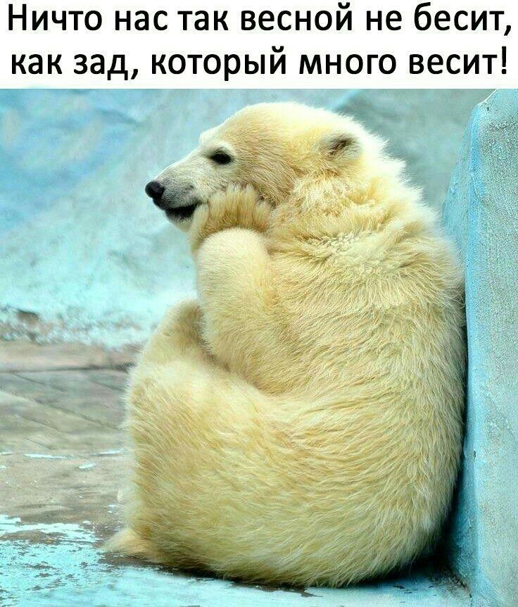 Ничто нас так весной не бесит как зад который много весит