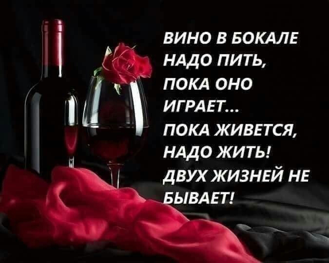 вино в БОКАЛЕ НАДО пить покд оно ИГРАЕТ ПОКА живется НАДО ЖИТЬ двух жизней НЕ ЫВАЕТ