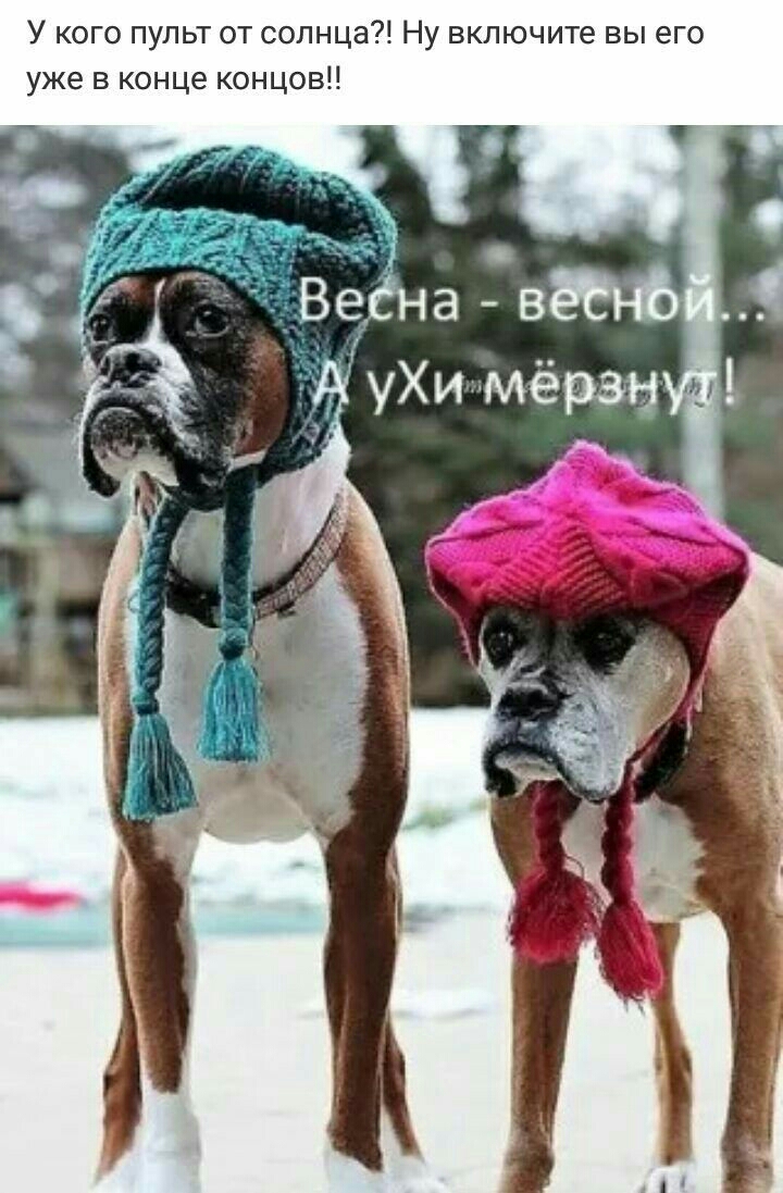 У кого пульт от солнца Ну включите вы его уже в конце концов ав уХи мёраы ти